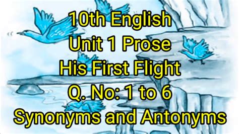 synonyms for flight|antonyms for flight.